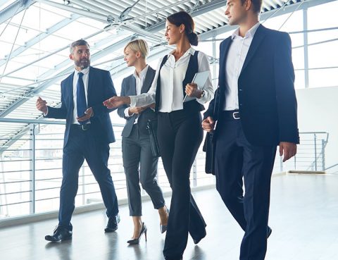 contadores vs abogados